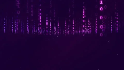 Abstract Purple Digital Binary Code Rain Falling on Dark Background for Stock Footage 339323653