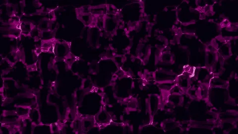 Abstract purple energy lines flow across black background with copy space Stock Footage 340906565