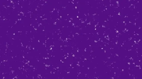 Abstract Purple Glitter Background with Sparkling Particles Video stock 342022908