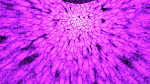 Abstract purple glowing cellular structure expanding into darkness with cin.. Vídeo Stock 342504261