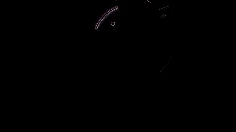 Abstract Purple Glowing Lines and Energy Fractal Motion Background Stock-Footage 340211222