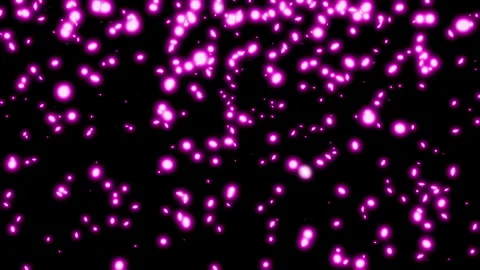Abstract purple glowing magic particles fly in random directions on a black Vídeo Stock 284045170