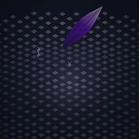 Abstract Purple Leaf Floating Over Textured Grid Background, Digital Art, M.. Stock Footage 348198604