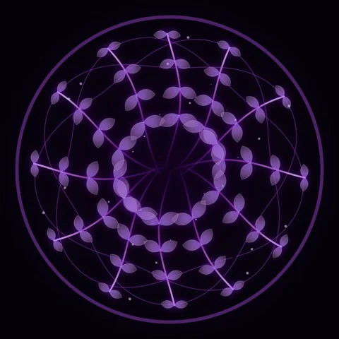 Abstract Purple Mandala Flower Bloom Animation with Light Particles Stock Footage 346283513