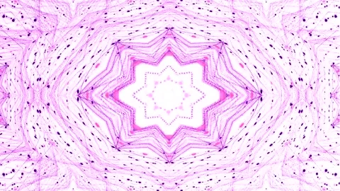 Abstract Purple Mandala Stock Footage 289129128