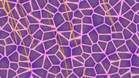 Abstract Purple Network Pattern Background. 스톡 동영상 329483133