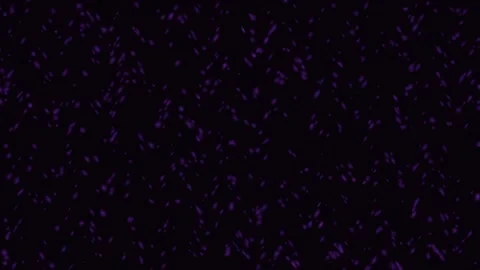 Abstract purple particles expanding and dissolving into darkness with subtl.. Stock Footage 342514827