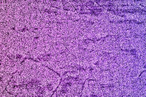 Abstract purple rough surface wall texture with cracked, weathered Stock Photos