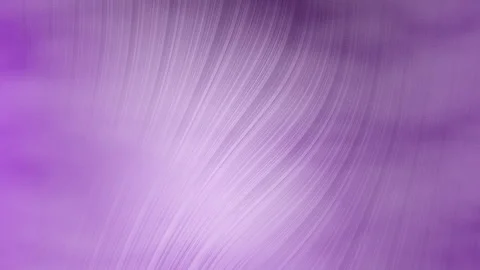 Abstract purple silk flowing lines background with soft gradient Stock Footage 329323499