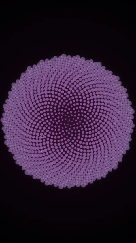 Abstract Purple Swirl Pattern of Dots on Black Background - Geometric Motion Stock Footage 347695529
