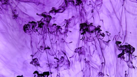 Abstract purple texture. Ink and paint in water on a white and black background. Video stock 220960261