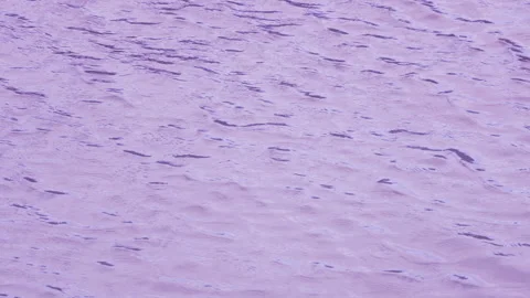 Abstract purple water surface with gentle ripples and shimmering reflections Stock Footage 346390339