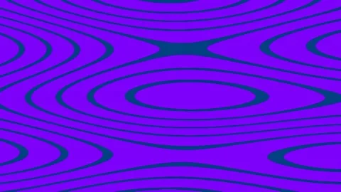 Abstract Purple Wave Pattern Background with Modern Geometric Flow Lines Stock Footage 342092992