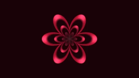 Abstract Radial Flower Pattern Seamless Loop Stock Footage 342648563