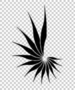 Abstract radial leaf design with sharp edges and dotted texture pattern vec.. 스톡 일러스트