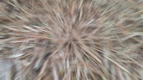 Abstract radial motion blur texture in earthy tones with dynamic burst effect 스톡 일러스트