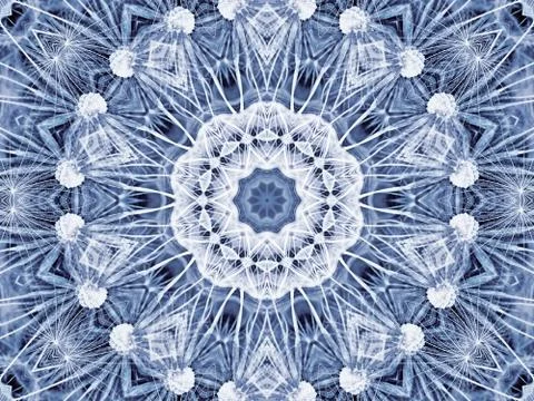 Abstract radial pattern of natural large dandelion flower Stock Illustration