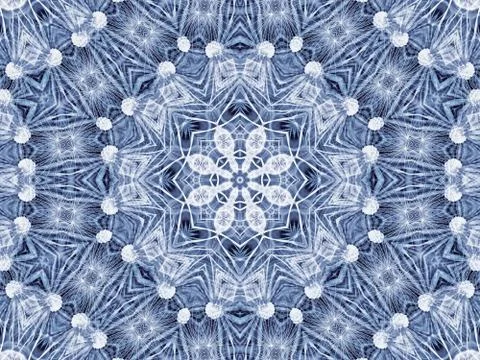 Abstract radial pattern of natural large dandelion flower Stock Illustration