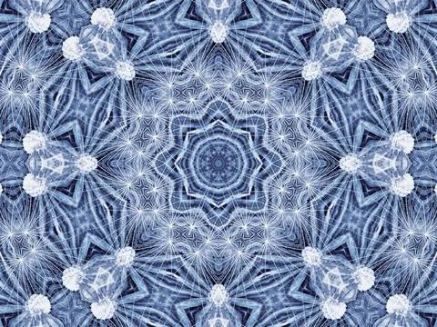 Abstract radial pattern of natural large dandelion flower Background with ... Stock Photos