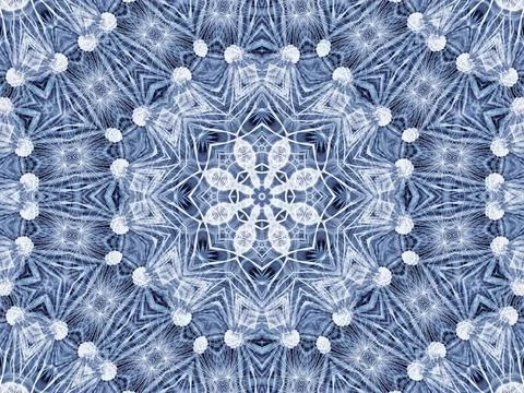 Abstract radial pattern of natural large dandelion flower Background with ... Stock Photos