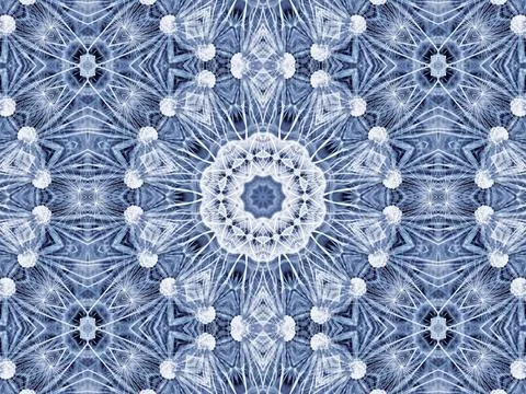 Abstract radial pattern of natural large dandelion flower Background with ... Stock Photos