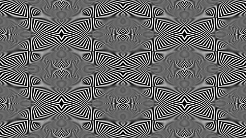Abstract Radial Symmetry Tile Pattern Monochrome Seamless Loop Animation Stock Footage 314870159