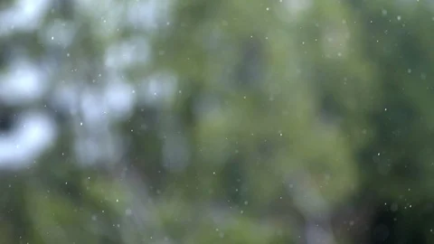 Abstract rain droplets on out of focus nature background, slow motion Stock Footage 114390938