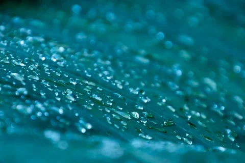 Abstract raindrops on leaf Stock Photos