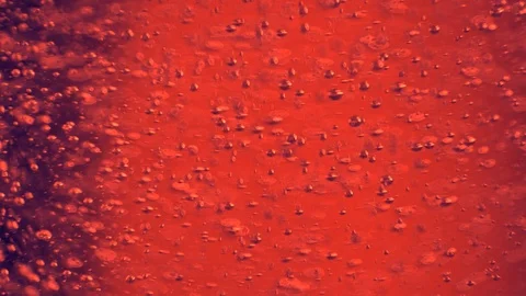 Abstract raising bubbles in red liquid Stock Footage 122257502
