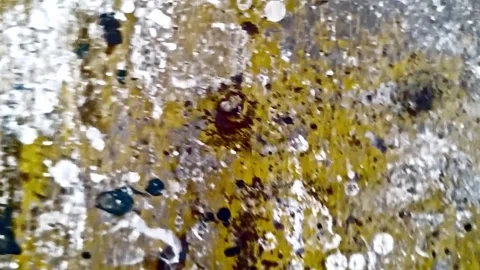 Abstract random moving texture video Vídeo Stock 335289418