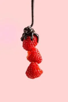 Abstract raspberry levitating fruits with chocolate Stock Photos