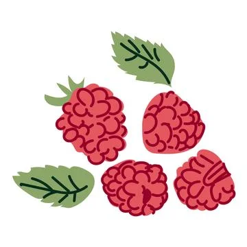 Abstract raspberry set. Cartoon berry with flower and leaves. raspberry ele.. Stock Illustration