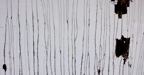 Abstract - Real Old Wood Texture Vintage Background. Paint peeling Stock Footage 205544587