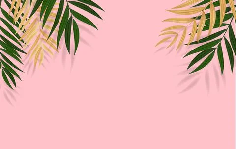 Abstract Realistic Green Palm Leaf Tropical Background. Vector illustration E Illustrazione stock