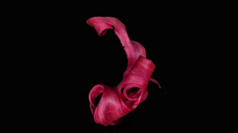 Abstract red 10, rotation, part1 Video stock 134868625