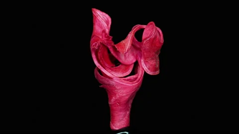 Abstract red 7, rotation, part2 Video stock 134939763