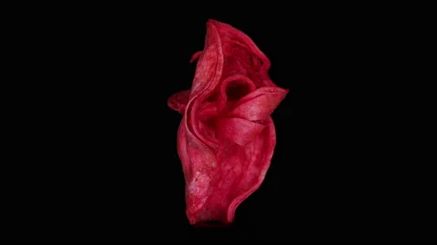 Abstract red 8, rotation, part1 Video stock 134869754