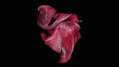 Abstract red 9, rotation, part2 Video stock 134870588