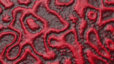 Abstract Red and Black 3D Bio-Organic Liquid Texture Motion Background Loop Stock Footage 341054791