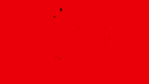 Abstract Red and Black Organic Shapes Morphing Seamlessly with Fractal Patter Stock Footage 341663331