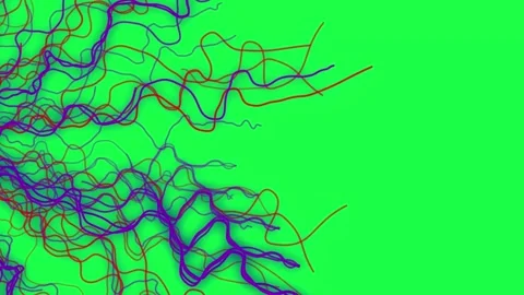 Abstract Red and Purple Strings Create A Complex Pattern Insolated Green Scr Stock Footage 319538985