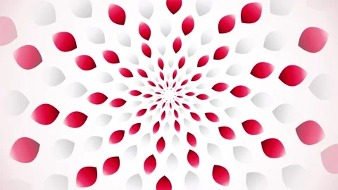 Abstract Red and White Radial Petal Burst Motion Loop Background Video stock 345592653