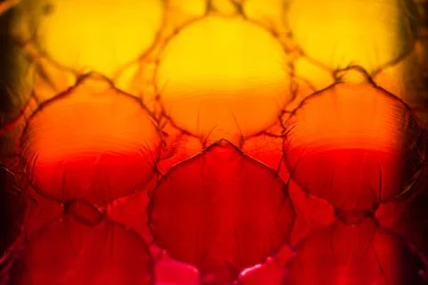 Abstract red and yellow texture background and empty space to use as template 스톡 일러스트