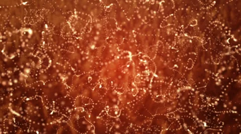 Abstract Red Animated Particles Stock Footage 33831325