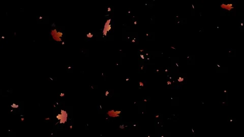 Abstract Red Autumn Leaf Fireworks Explosion with Shiny Particles and Stars 스톡 동영상 339341631