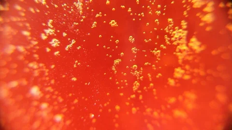 Abstract red background. Bubbles in a glass of beer. Video stock 105507046