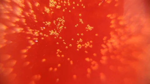 Abstract red background. Bubbles in a glass of beer. Stock Footage 105507082
