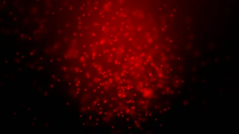 Abstract red background with floating dots and particles Video stock 161900679