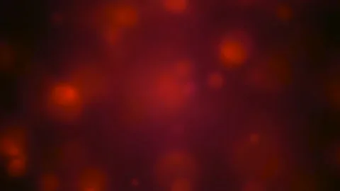 Abstract red background with floating particles. Seamlessly loopable animation. Stock Footage 165442615