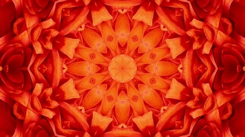 Abstract Red Background Flower Stock Footage 73544806